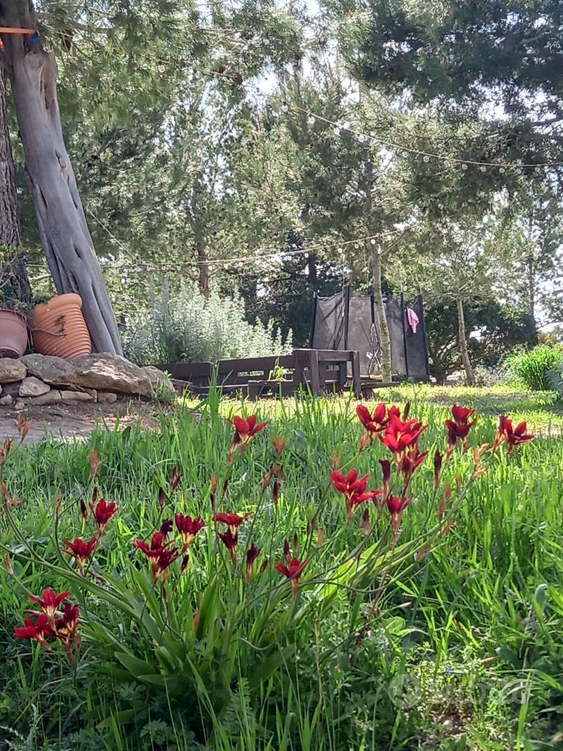 Campagna a Marchetto - Vista 2