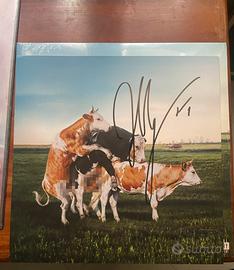 Olly vinile AUTOGRAFATO muccato tutta vita sempre