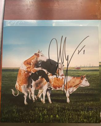 Olly vinile AUTOGRAFATO muccato tutta vita sempre