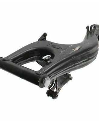 Forcellone Aprilia RS Europa AF1 50