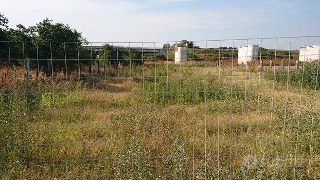 Terreno agricolo (area di settembre )