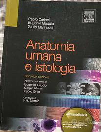 Libri Anatomia Umana