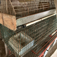 Gabbie per allevamento conigli