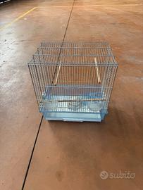 Gabbia uccellini