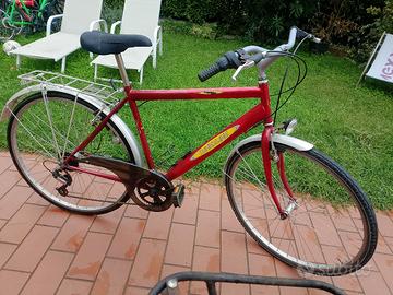 Bicicletta uomo city