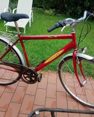 Bicicletta uomo city