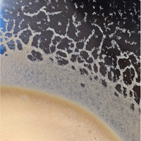 Starter bananaworms pesci,cibo vivo,mini coltura