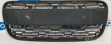 griglia paraurti 