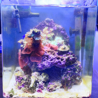 Mini reef 20l