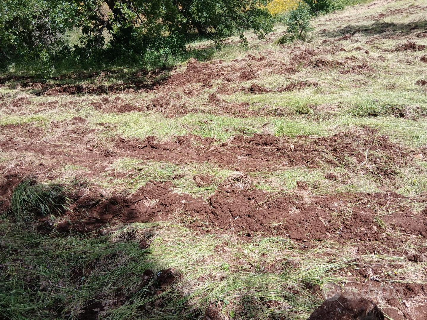 terreno seminativo con pozzo - Vista 3