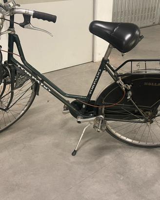 Bicicletta torpado