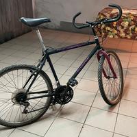 Bicicletta Bianchi Vintage