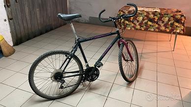 Bicicletta Bianchi Vintage