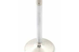 Valvola aspirazione Ducati Monster e Superbike