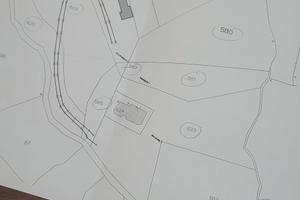 TERRENO AGRICOLO CON ULIVETO ASCEA 