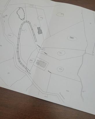 TERRENO AGRICOLO CON ULIVETO ASCEA 