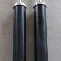 Ammortizzatori post. Renault clio 3