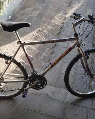 Mountain bike Carraro Grizzly