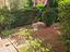 Immagine 28