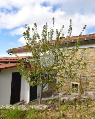 VILLA SINGOLA A RUTINO