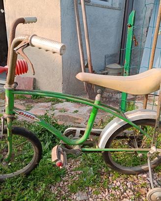 bicicletta dino