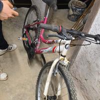 Mountain Bike Sport Frejus Bicicletta