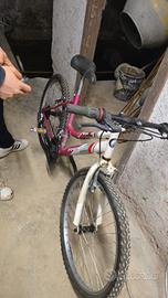 Mountain Bike Sport Frejus Bicicletta