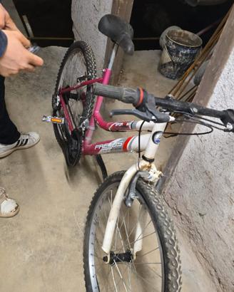 Mountain Bike Sport Frejus Bicicletta