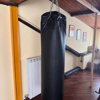 Sacco da Boxe Physionics