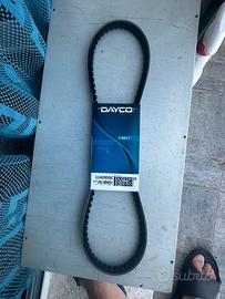 Cinghia per Vetus M 4.14 entrobordo