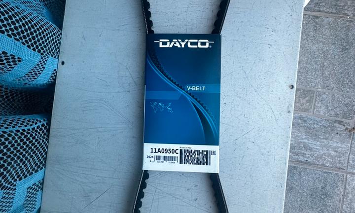 Cinghia per Vetus M 4.14 entrobordo