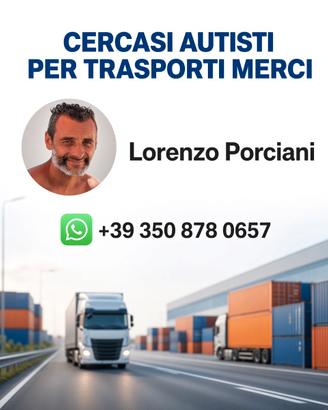 Autista per il trasporto merci