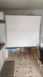 telo per proiezione a rullo 180x170