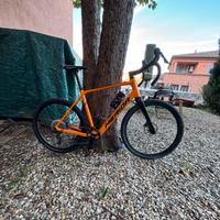 Bici ebike gravel