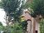 Immagine 6