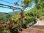 Immagine 21