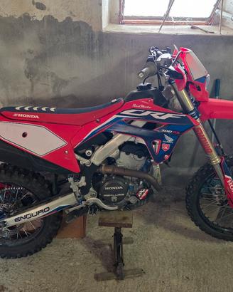 Honda CRF 300 RX Special 2023