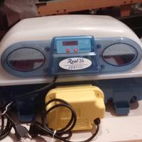 incubatrice borotto real 24