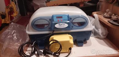 incubatrice borotto real 24