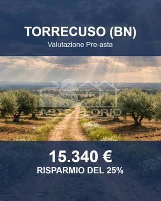 Immobile in asta di 6820 m² a Torrecuso