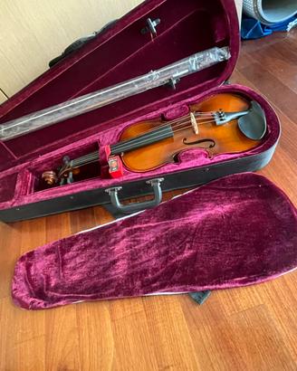 Violino nuovo