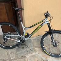 Ancilloti scarab-evo 29” mtb