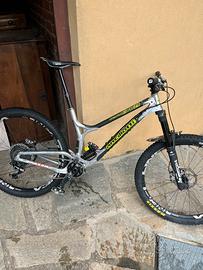 Ancilloti scarab-evo 29” mtb