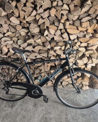 Bici da uomo