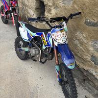 Polini Altro modello - 2023