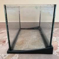 Acquario