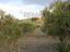 Immagine 14
