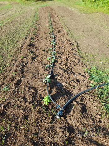 Si terreno agricolo