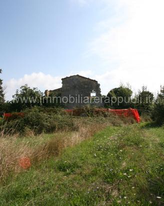 CL176 - Rustico Casale da Ristrutturare con Vista