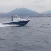 Pilotina 7,50 aifo 8361